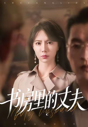 书房里的丈夫（100集）一口气追完短剧