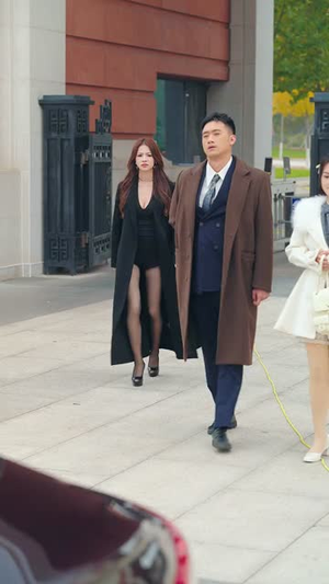 系统管理员的日常（67集）免费全集短剧