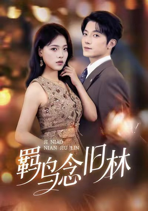 羁鸟念旧林(60集) 羁鸟念旧林(60集)爱短剧爱追剧