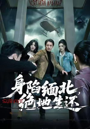 身陷缅北，绝地生还（70集）免费看全集