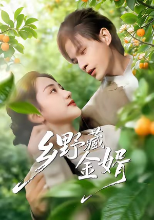 乡野藏金婿（50集）追风的女孩短剧