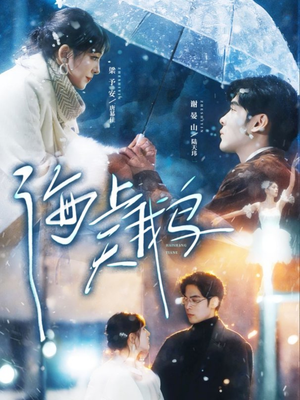 海上天鹅(70集) 海上天鹅(70集)爆款短剧追不停