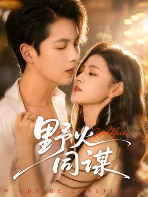 野火同谋（66集）热播短剧追不停