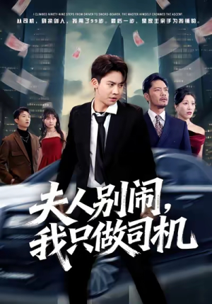 夫人别闹我只做司机（80集）真的好看吗