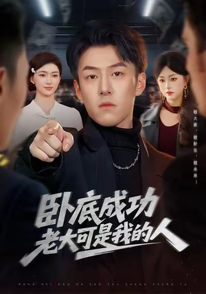 卧底成功老大可是我的人（99集）免费短剧合集