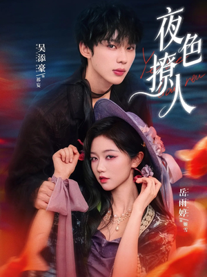 夜色撩人（76集）短视频追剧推荐