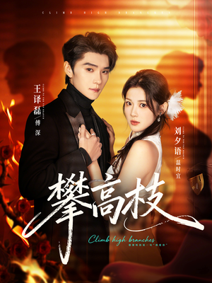 攀高枝（70集）解说文案