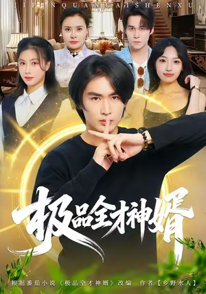 极品全才神婿（67集）精彩热门短剧