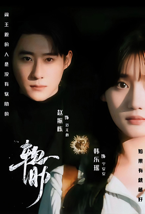 软肋（62集）免费在线看