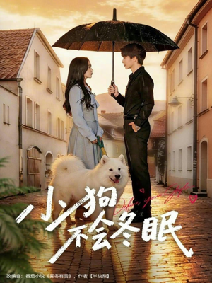 小狗不会冬眠（70集）最火的短剧