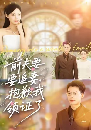 前夫要追妻，抱歉我领证了（81集）热门短剧来袭