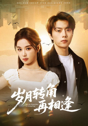 岁月转角再相逢（80集）第一季