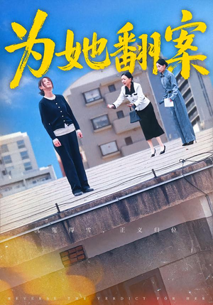 为她翻案(40集) 为她翻案(40集)一共多少集