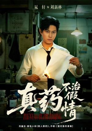 真药不治假情(60集) 真药不治假情(60集)口碑之选免费看