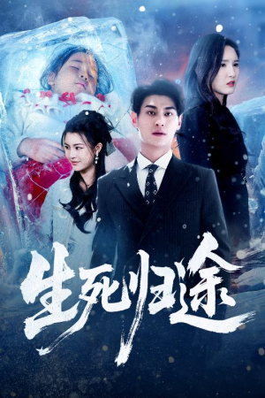 生死归途（50集）全集一次看完