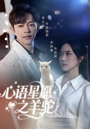 心语星愿之羊驼(60集) 心语星愿之羊驼(60集)今日最火短剧