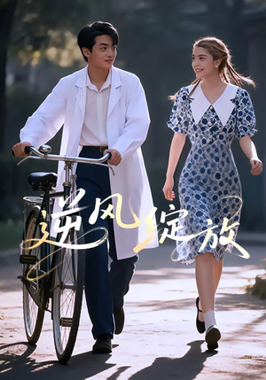 逆风绽放（55集）番茄免费短剧