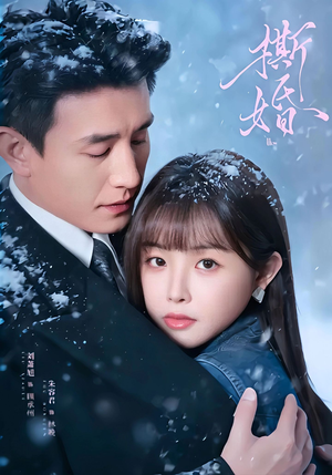 撕婚(23集) 撕婚(23集)高质量短剧推荐