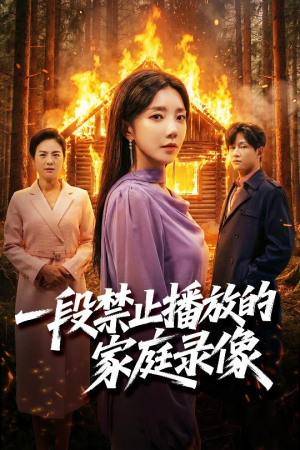 一段禁止播放的家庭录像（55集）在线观看全集