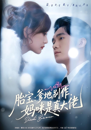 胎宝：爹地别作，妈咪是真大佬（60集）在线看免费版