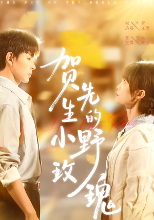 贺先生的小野玫瑰（99集）第32集