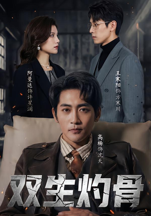 双生灼骨（60集）真的太精彩了