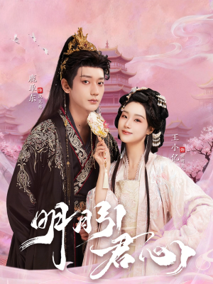 明月引君心（74集）口碑爆棚免费看