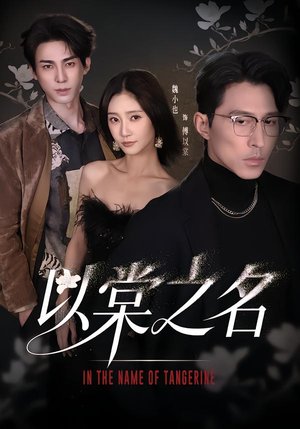 以棠之名(66集) 以棠之名(66集)全部免费看全集