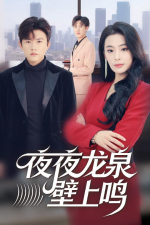 夜夜龙泉壁上鸣（63集）全集