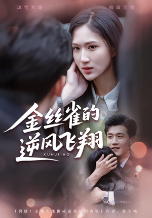 金丝雀的逆风飞翔(80集) 金丝雀的逆风飞翔(80集)爆款短剧推荐