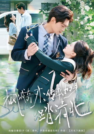 枫城奇才：传承加身踏清北（80集）百度网盘资源