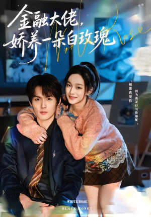 金融大佬，娇养一朵白玫瑰（70集）经典回顾免费看