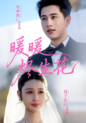 暖暖烬生花(65集) 暖暖烬生花(65集)爆火短剧推荐