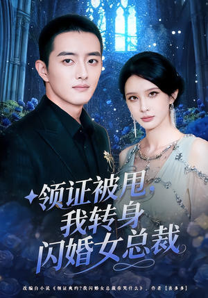 领证被甩，我转身闪婚女总裁（80集）河马免费短剧