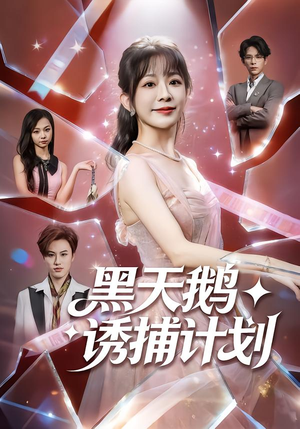 黑天鹅诱捕计划（81集）短剧抢先看全集
