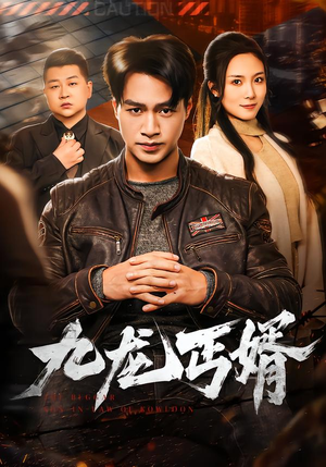 九龙丐婿(81集) 九龙丐婿(81集)完整版