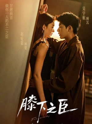 膝下之臣(56集) 膝下之臣(56集)古代短剧推荐