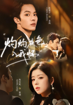 灼灼夜色入我怀（60集）短剧全集免费看