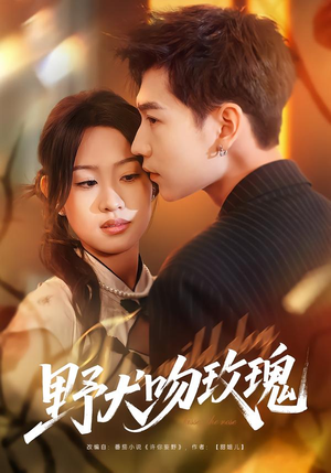 野犬吻玫瑰（70集）热门短剧追不停