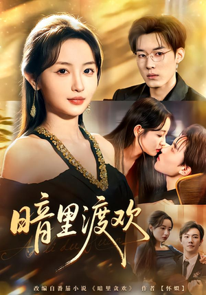 暗里渡欢（80集）一共多少集