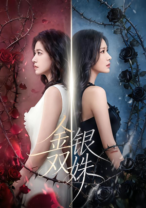 金银双姝（80集）短剧片段分享