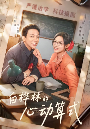 白桦林的心动算式（66集）短剧介绍