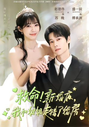 救命!新婚夜,我和姐姐走错了婚房(58集) 救命!新婚夜,我和姐姐走错了婚房(58集)免费观看全集