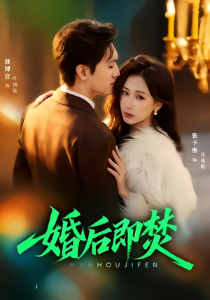 婚后即焚（77集）红果免费看短剧