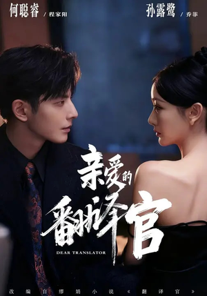 亲爱的翻译官(60集) 亲爱的翻译官(60集)免费在线看