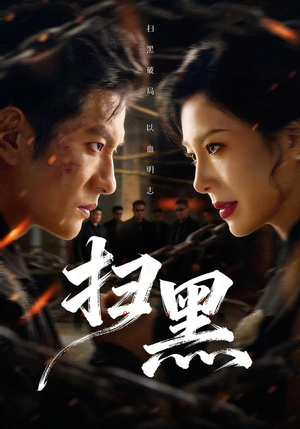 扫黑（70集）番茄免费短剧