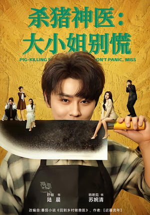 杀猪神医，大小姐别慌（80集）在哪看免费