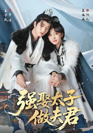 强娶太子做夫君(67集) 强娶太子做夫君(67集)短剧更新抢先看