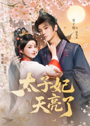 太子妃天亮了(80集) 太子妃天亮了(80集)好看上头的短剧