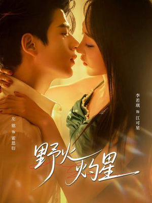 野火灼星(56集) 野火灼星(56集)在哪个app能看